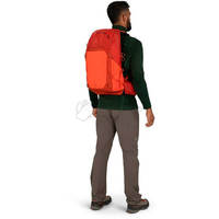 Туристический рюкзак Osprey Talon Pro 20 Silver Lining (009.3536)
