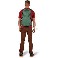 Туристический рюкзак Osprey Sportlite 25 Aubergine Purple S/M (009.3036)