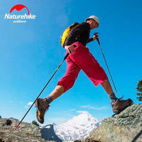 Треккинговая палка Naturehike ST08 NH18D020-Z 120 см 1 шт Бордовая (6927595748534)