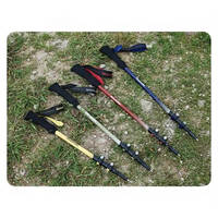 Треккинговая палка Naturehike CNK2300DS010 120 см Зеленая 1 шт (6976023923531)