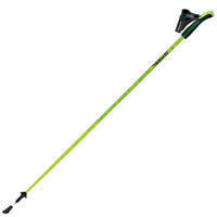 Палки для скандинавской ходьбы Gabel Light NCS 125 см (DAS302693)