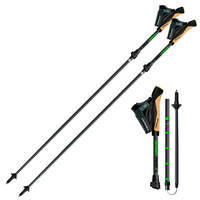 Палки для скандинавской ходьбы Gabel Springbok XTS 120 см (DAS302752)