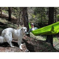 Гамак одноместный Sea To Summit Hammock Set Pro Single Olive (STS AHAMSETSOL)