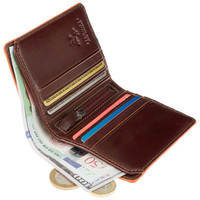 Кошелек мужской Visconti ALP92 Tignes Brown (ALP92 BRN)