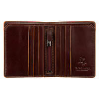 Кошелек мужской Visconti ALP92 Tignes Brown (ALP92 BRN)