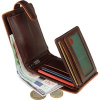 Кошелек мужской Visconti ALP93 Morgex Brown (ALP93 BRN)