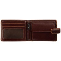 Кошелек мужской Visconti ALP93 Morgex Brown (ALP93 BRN)