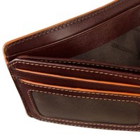 Кошелек мужской Visconti ALP93 Morgex Brown (ALP93 BRN)
