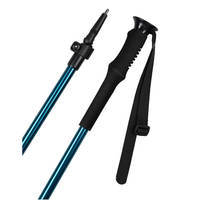 Палиці трекінгові Fjord Nansen Backcountry 84-145 см Blue (fn_37087)