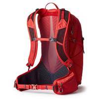Туристический рюкзак Gregory Miko 25 BioSync Sumac red (145276/9973)