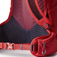 Туристический рюкзак Gregory Miko 20 BioSync Sumac red (145275/9973)