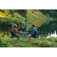 Стул раскладной Helinox Cafe Chair Forest Green (14353)