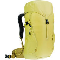 Детский туристический рюкзак Deuter Climber 22 Sprout-Linden (3611024 1208)
