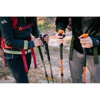 Треккинговые палки Tramp Guide aluminium 62-135 см пара (UTRR-014)