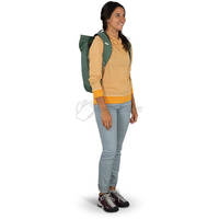 Городской рюкзак Osprey Arcane Roll Top 22л purple dusk heather (009.001.0198)