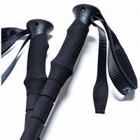 Треккинговые палки Milo GT EVA blue 3 section 68-140 см (MCRTT3Blue)
