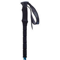 Треккинговые палки Milo GT EVA blue 3 section 68-140 см (MCRTT3Blue)