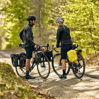 Набор велосипедных сумок Thule Shield Pannier 13L Black (TH 3204205)