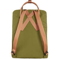 Городской рюкзак Fjallraven Kanken 16 л Foliage Green-Peach Sand (23510.631-241)