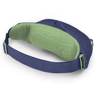 Поясна сумка Osprey Daylite Waist 2L blue spikemoss/alkaline (009.3741)
