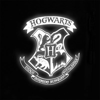 Школьный рюкзак для подростка Kite Education teens 949M Harry Potter Черный 12.5 л (HP25-949M)