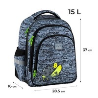 Школьный рюкзак GoPack Education 2606S-5 Graffity 15л (GO25-2606S-5)