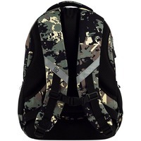 Рюкзак подростковый GoPack Teens 162L-6 Принт 19л (GO25-162L-6)
