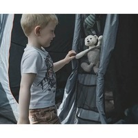 Палатка четырехместная Easy Camp Skarvan 4 (931572)