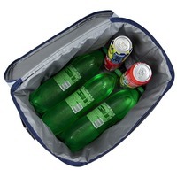 Термосумка Bo-Camp Cooler Bag 30 Blue (DAS303302)