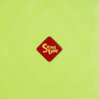 Чемодан Semi Line 24