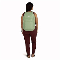 Городской рюкзак Osprey Arcane XL Day 32L botanica (009.3904)