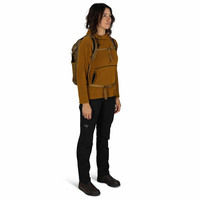 Городской рюкзак Osprey Daylite Plus Earth 20L Limited Edition histosol brown (009.4172)
