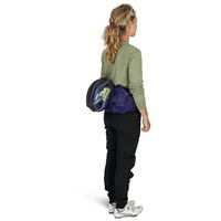 Поясная сумка Osprey Raven 4 deep fig (009.3875)