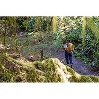 Туристический рюкзак Exped Skyline 20 black M/L (018.1238)
