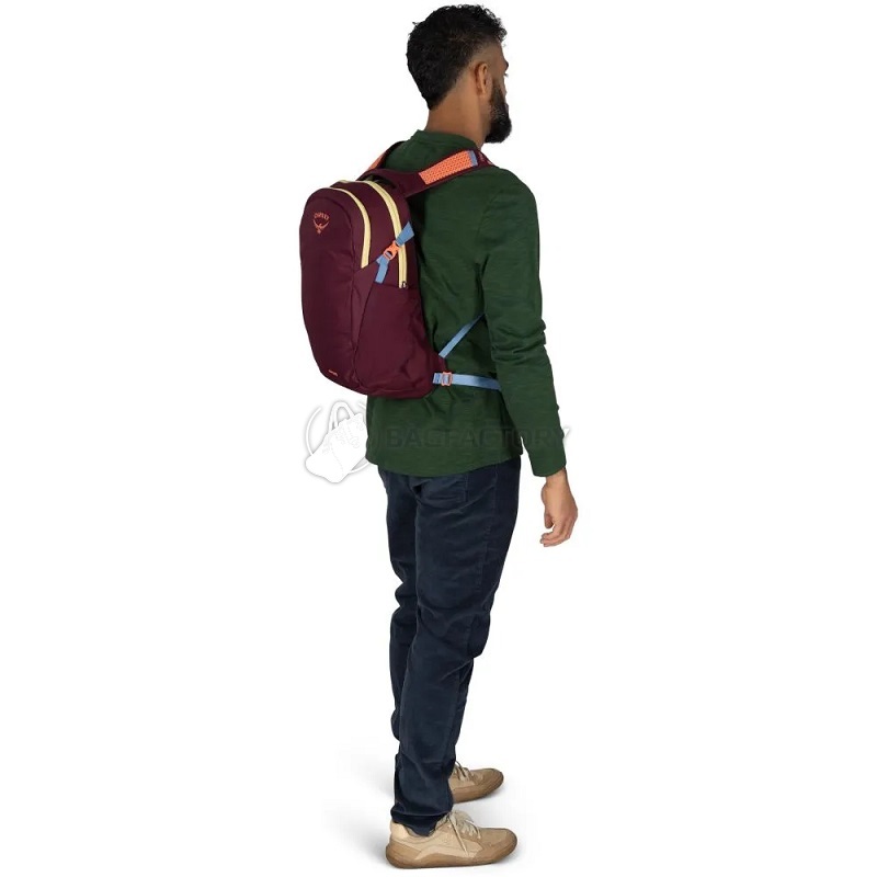 Городской рюкзак Osprey Daylite 13л moody burgundy (009.4132)