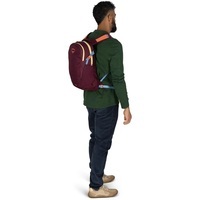 Городской рюкзак Osprey Daylite 13л moody burgundy (009.4132)