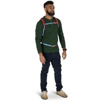 Городской рюкзак Osprey Daylite 13л moody burgundy (009.4132)