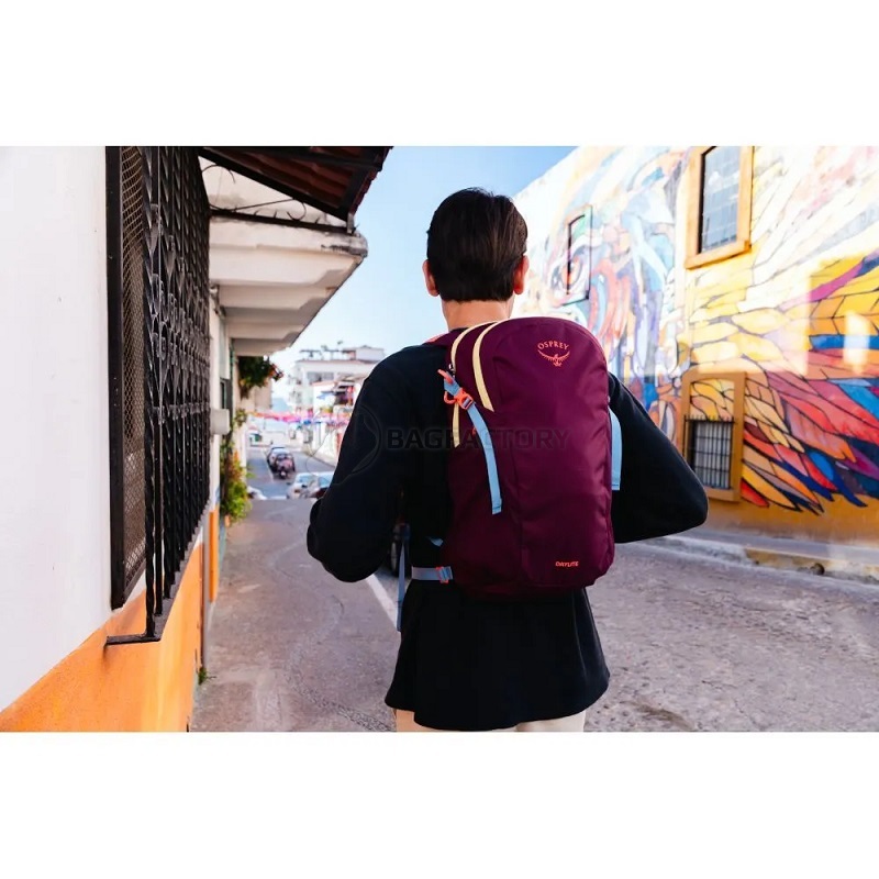 Городской рюкзак Osprey Daylite 13л moody burgundy (009.4132)