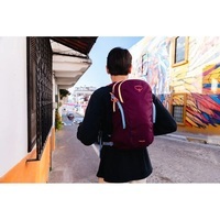 Городской рюкзак Osprey Daylite 13л moody burgundy (009.4132)