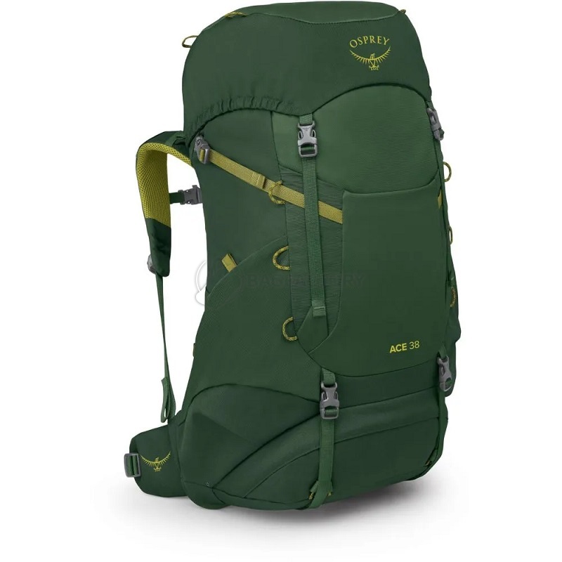 Туристический рюкзак Osprey Ace 38 green canopy (009.3888)