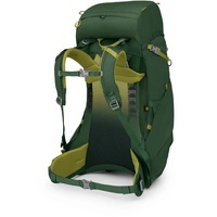Туристический рюкзак Osprey Ace 38 green canopy (009.3888)