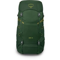 Туристический рюкзак Osprey Ace 38 green canopy (009.3888)